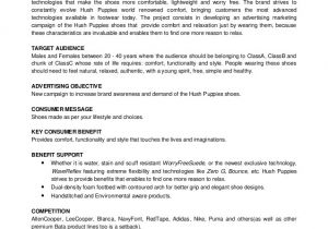 How to Write A Creative Brief Template Creative Brief Example