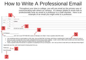 How to Write A Professional Email Template Professional Emails First Year Experience Transfer