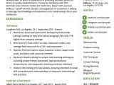 How to Write A Professional Resume How to Write A Resume Profile Examples Writing Guide Rg