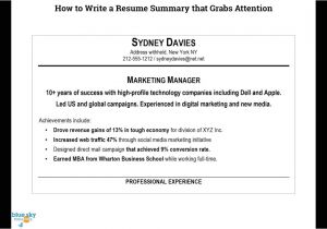 How to Write A Professional Resume How to Write A Resume Summary Youtube