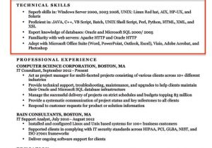 How to Write Basic Computer Knowledge In Resume 20 Skills for Resumes Examples Included Resume Companion