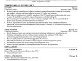 How to Write Basic Computer Skills In Resume 7 Best Basic Resume Examples Images On Pinterest Debt