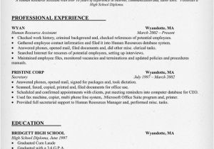 Hr assistant Resume Objective Samples Career Objective Examples Human Resources