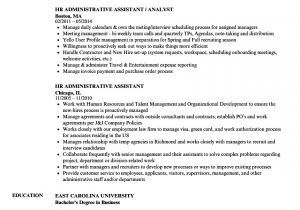 Hr assistant Resume Sample Hr Administrative assistant Resume Samples Velvet Jobs