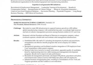 Hr Executive Resume In Word format Creative Human Resources Executive Resume Executive Resume