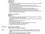 Hr Executive Resume Sample Hr Executive Resume Samples Velvet Jobs