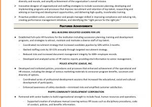 Hr Executive Resume Sample In India How to Write A Good Essay About Community Service Online