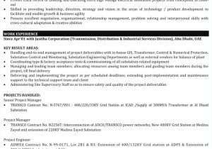 Hr Executive Resume Sample In India Project Manager Resume Sample Igniteresumes Com