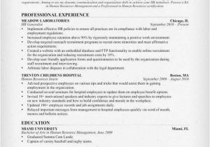Hr Generalist Fresher Resume format 21 Best Hr Resume Templates for Freshers Experienced