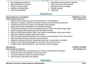Hr Professional Resume Amazing Human Resources Resume Examples Livecareer