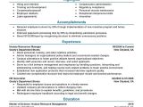 Hr Professional Resume Examples 7 Amazing Human Resources Resume Examples Livecareer