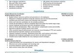 Hr Professional Resume Examples 7 Amazing Human Resources Resume Examples Livecareer