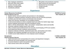 Hr Professional Resume Examples 7 Amazing Human Resources Resume Examples Livecareer