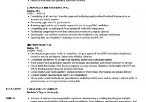 Hr Professional Resume Examples Hr Professional Resume Samples Velvet Jobs