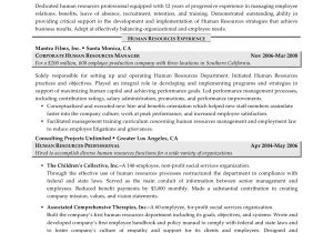 Hr Professional Resume Examples Human Resources Resume Examples Resume Professional Writers