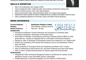 Hr Professional Resume Examples Resume Hr Professional