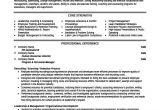 Hr Professional Resume Examples Senior Hr Professional Resume Template Premium Resume