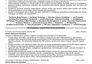 Hr Professional Resume Examples top Human Resources Resume Templates Samples