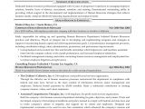 Hr Professional Resume Human Resources Resume Examples Resume Professional Writers