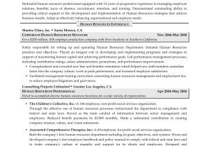 Hr Professional Resume Human Resources Resume Examples Resume Professional Writers