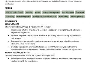 Hr Professional Resume Objective Human Resources Hr Resume Sample Writing Tips Rg