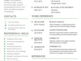 Hr Resume format Word Resume Template 55 Free Word Excel Pdf Psd format