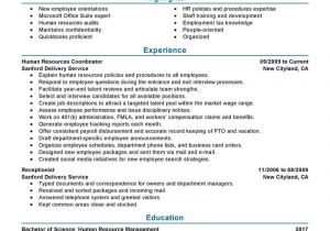 Hr Resume Sample 7 Amazing Human Resources Resume Examples Livecareer