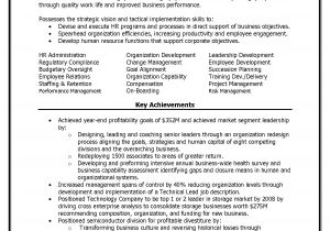Human Resources Business Partner Resume Templates Data Analyst for Human Resources Example Resume Best