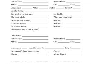 Icam Investigation Template Presentenceigation Report Example Wisconsin form Blank