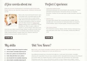 If Page Template WordPress Custom Post Types and Page Templates In Templatemonster