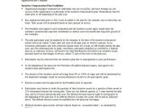 Incentive Proposal Template Compensation Plan Template 8 Free Word Document