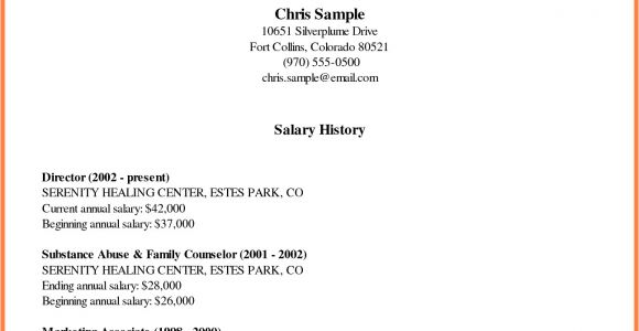 Including Salary History In Cover Letter 5 Cover Letter with Salary History Example Salary Slip