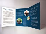 Indesign Tri Fold Brochure Templates Free Download Tri Fold Brochure Template Indesign Free Download