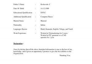 Indian Basic Resume Cv Word File format