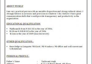 Indian Basic Resume Cv Word File