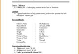 Indian normal Resume format Word India Job Resume format Simple Resume format Resume format