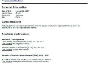 Indian Resume format In Word Best Resume formats for India Download