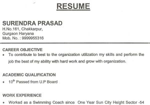 Indian Resume format In Word Domestic Help In India Resume Office Boy Paintry