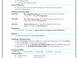 Indian Resume format In Word Resume format India Best Resume format Job Resume