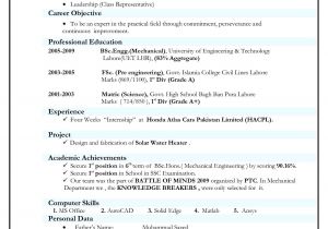 Indian Resume format In Word Resume format India Best Resume format Job Resume