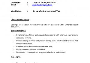 Indian Simple Resume format In Word India 3 Resume format Best Resume format Accountant