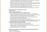 Information Technology Proposal Template 6 Information Technology Business Proposal Sample