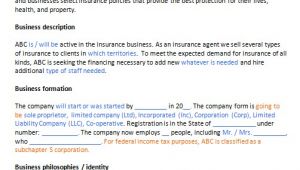 Insurance Business Plan Template Free Insurance Agent Business Plan Template Business Plan