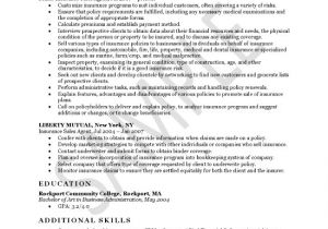 Insurance Resume Template Insurance Agent Resume Example