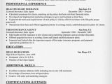 Insurance Resume Template Insurance Agent Resume for Insurance Agent