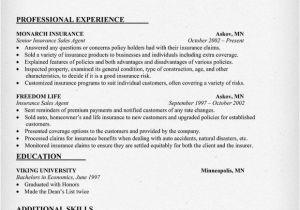 Insurance Resume Template Insurance Agent Resume Sample for Work Pinterest