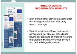 Integra Dermal Regeneration Template Active Wound Coverings