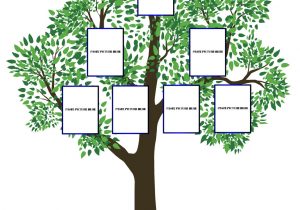 Interactive Family Tree Template Blank Family Tree Chart White Gold