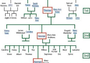 Interactive Family Tree Template Paternal Family Tree Template Family Tree Template 17