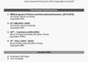 International Fresher Resume format Mba International Business Fresher Resume